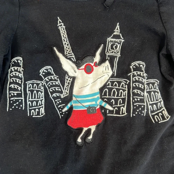 Gymboree Olivia line set. Long sleeved shirt and skirt. Girls size 5 - Picture 5 of 5